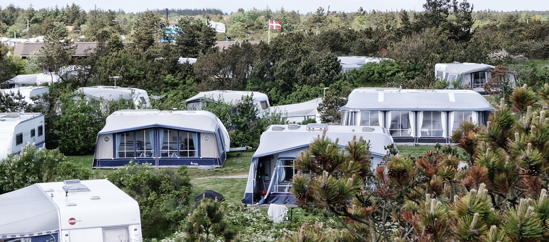 Campingplads - Nymindegab camping.jpg